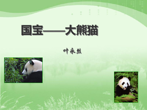 国宝—大熊猫完美版