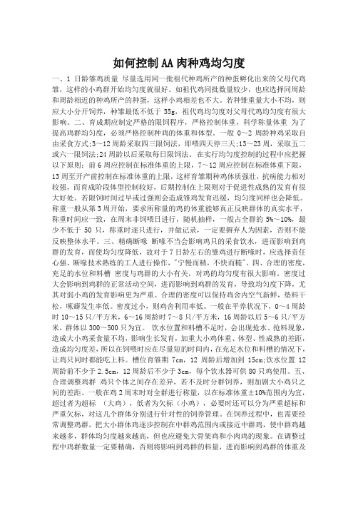 如何控制AA肉种鸡均匀度