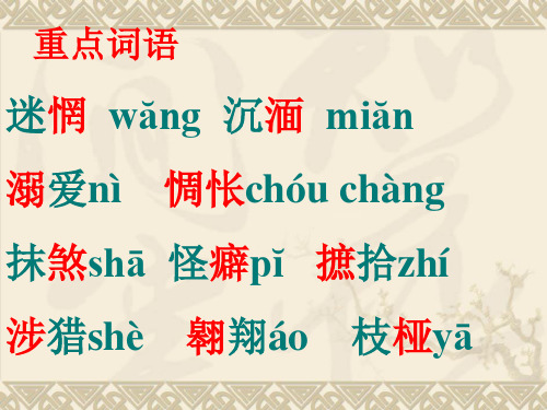 十八岁和其他精选教学PPT