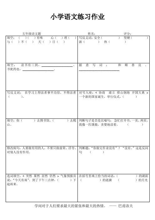 小学语文练习作业17