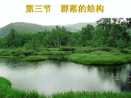 4.3 群落的结构