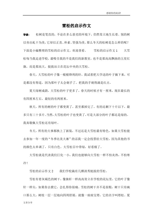 雪松的启示作文