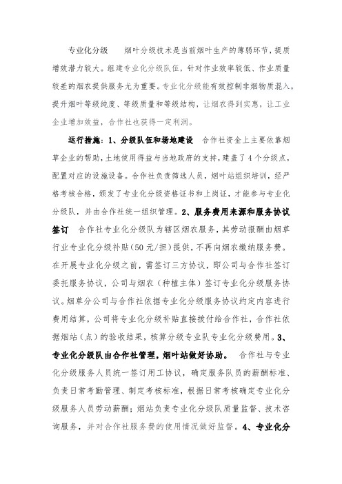 专业化分级