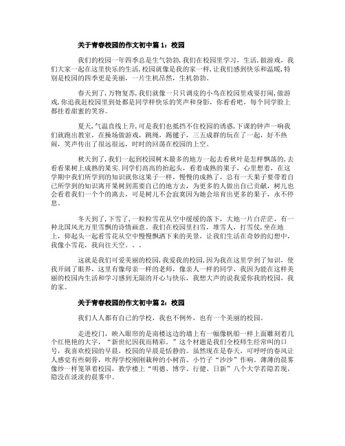 关于青春校园的作文初中