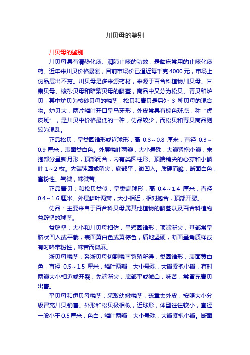 川贝母的鉴别