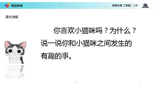 小猫咪穿鞋子课文讲解