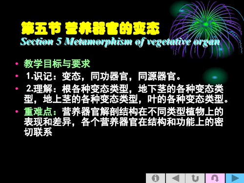 营养器官的变态