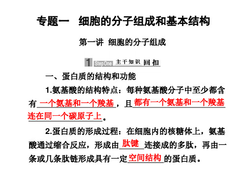 专题一细胞的分子组成和基本结构