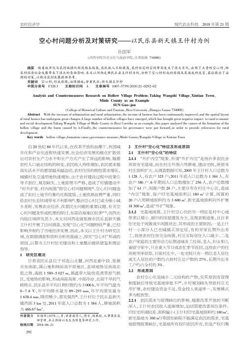 空心村问题分析及对策研究——以民乐县新天镇王什村为例