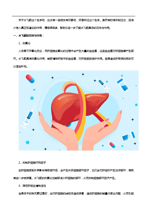 水飞蓟的功效与作用这么大,还可以提前预防酒精肝
