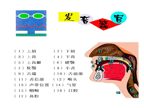 发音教学48个国际音标ppt课件