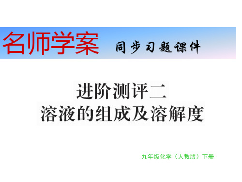 秋九年级化学下册习题课件：进阶测评二(共24张PPT)