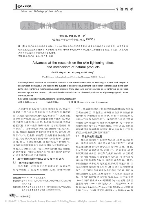天然产物的美白作用及其机理研究进展_官兴丽