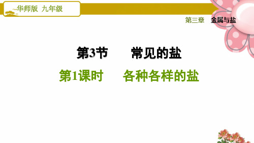 华师版九年级科学《各种各样的盐》ppt课件