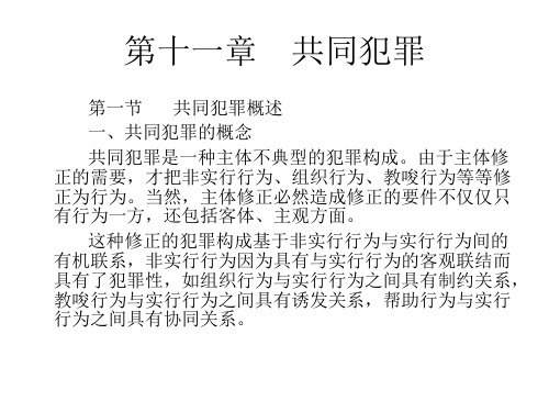 第十一章 共同犯罪 2