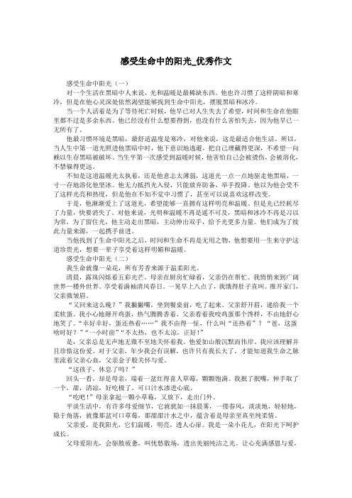感受生命中的阳光_优秀作文.doc