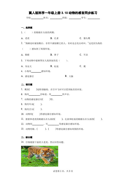 冀人版科学一年级上册3.10动物的感官同步练习