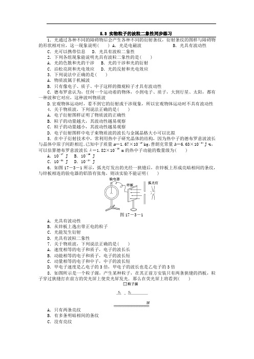 5.3 实物粒子的波粒二象性 同步练习 (含答案解析) (3)正式版