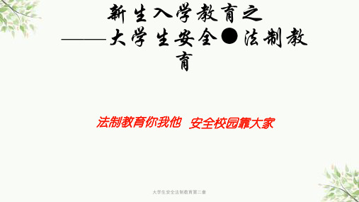大学生安全法制教育第二章课件