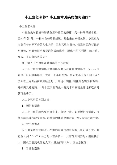 小丑鱼怎么养？小丑鱼常见疾病如何治疗？