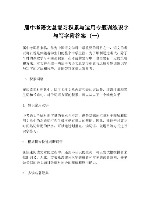 届中考语文总复习积累与运用专题训练识字与写字附答案 (一)