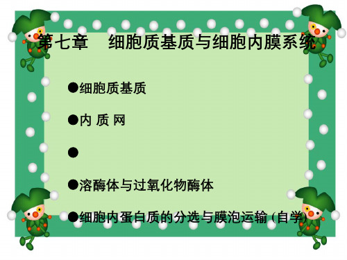 细胞生物学细胞质基质和细胞内膜系统