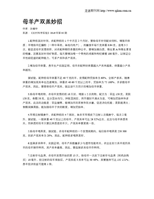 母羊产双羔妙招