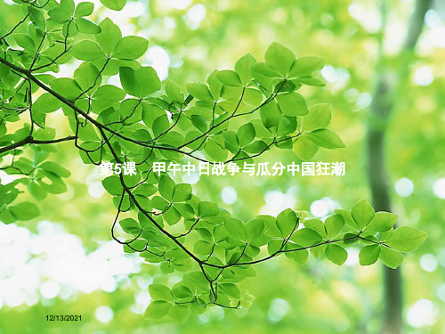 八年级历史 第二单元 近代化的早期探索与民族危机的加剧 5 甲午中日战争与瓜分中国狂潮