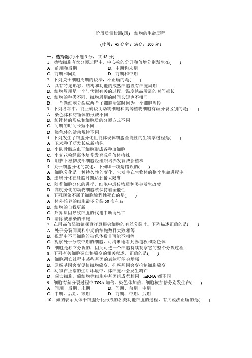 新人教生物必修1细胞的生命历程  单元测试