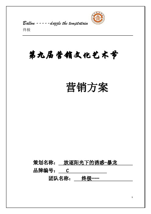 市场营销策划——太阳镜