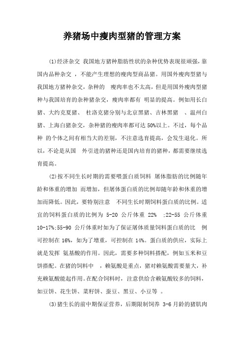 养猪场中瘦肉型猪管理方案