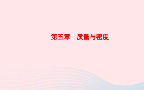 中考物理全程复习方略第五章质量与密度ppt课件沪科版