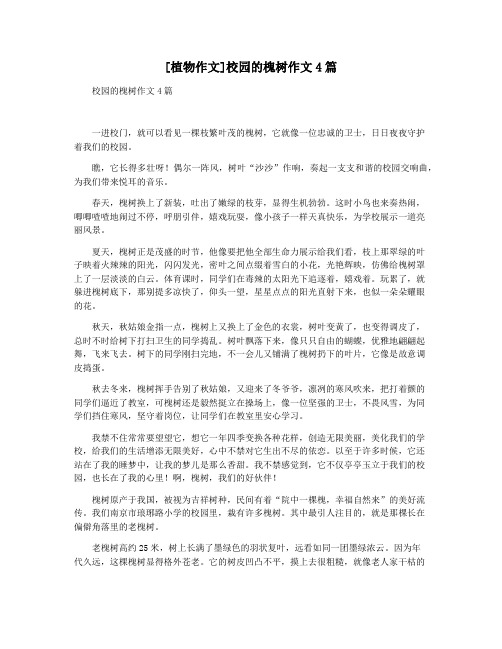 [植物作文]校园的槐树作文4篇