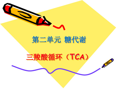 生物化学-第二单元-糖代谢——三羧酸循环.