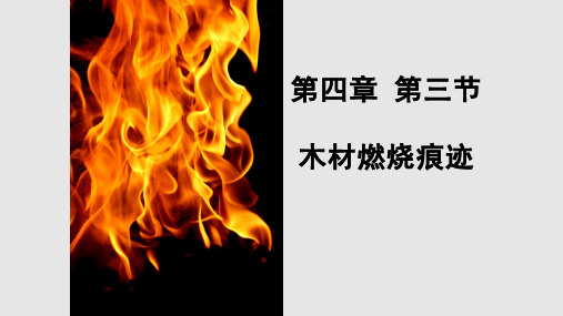 火灾痕迹物证木材