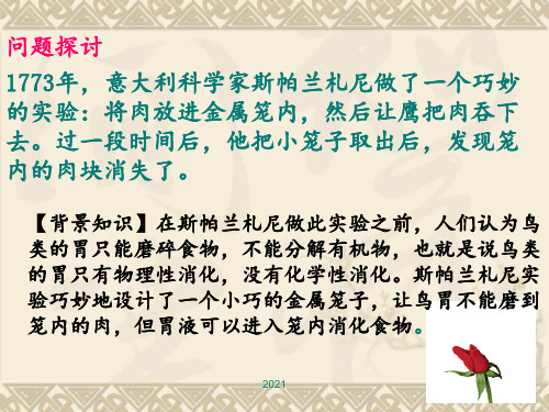 讲课用：《降低化学反应活化能的酶》PPT课件