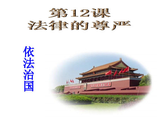 九年级政治依法治国