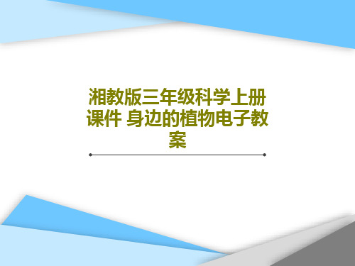湘教版三年级科学上册课件 身边的植物电子教案共21页