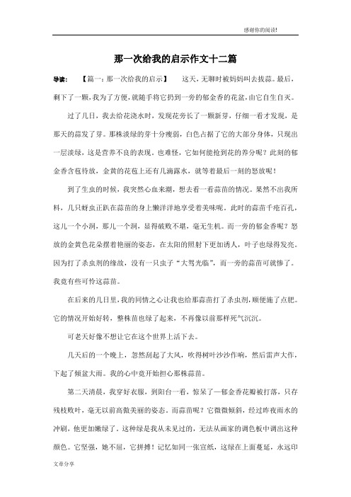 那一次给我的启示作文十二篇