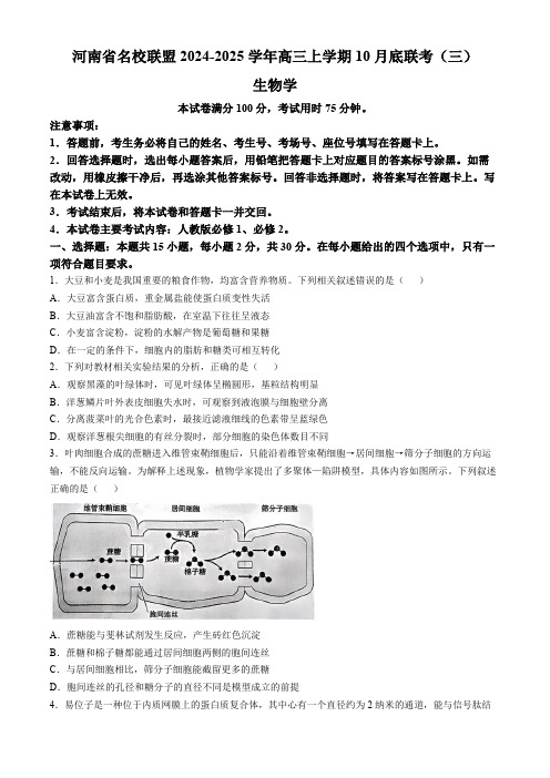 河南省2024-2025年金太阳高三年级联考(三)生物学试题(含解析)