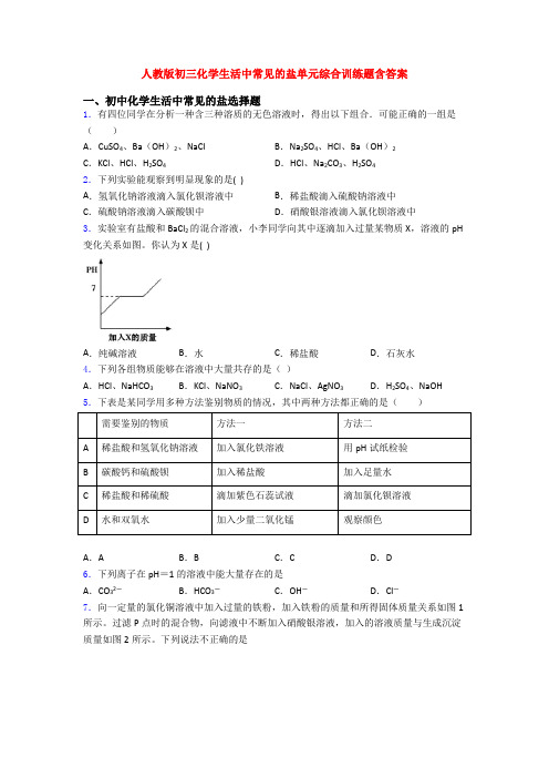人教版初三化学生活中常见的盐单元综合训练题含答案