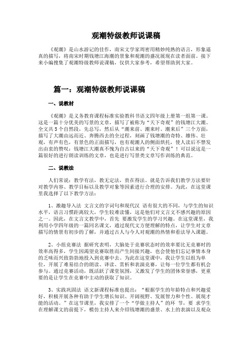 观潮特级教师说课稿