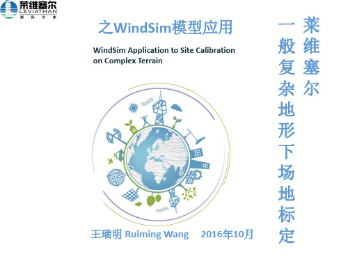 莱维塞尔一般复杂地形下场地标定-WindSim