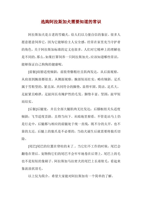 选购阿拉斯加犬需要知道的常识