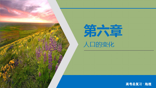 2020届高考人教版地理一轮复习_第6章  人口的变化人口的数量变化与人口的合理容量课件