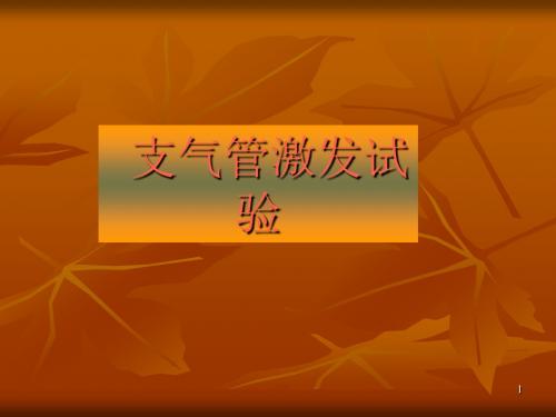 肺功能支气管激发试验ppt课件(1)