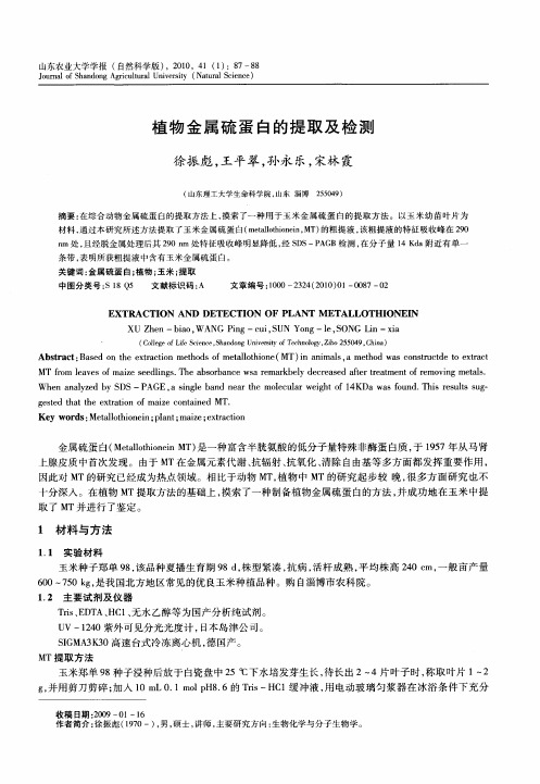 植物金属硫蛋白的提取及检测
