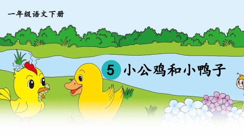 统编人教版一年级语文下册第5课《小公鸡和小鸭子》精美课件