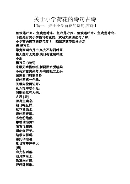 关于小学荷花的诗句古诗