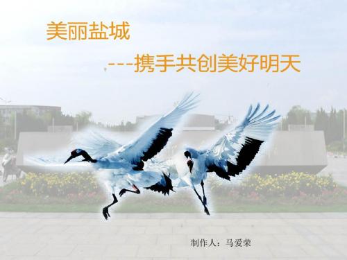 盐城海盐文化PPT